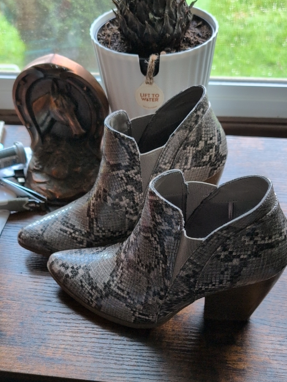 Anna Women’s Snake-Print Ankle Booties in Gray